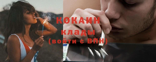 шишки Абдулино