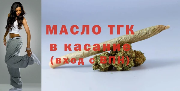 тгк Абаза