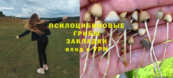 тгк Абаза