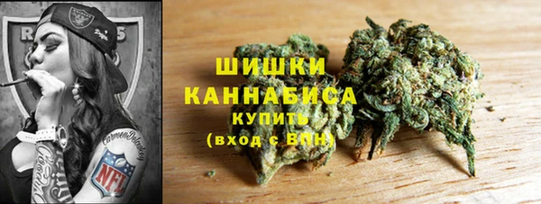 тгк Абаза