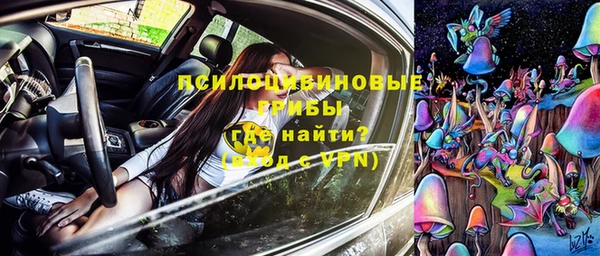 тгк Абаза